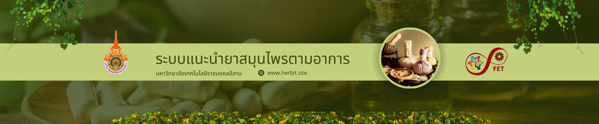 แบนเนอร์เว็บไซต์